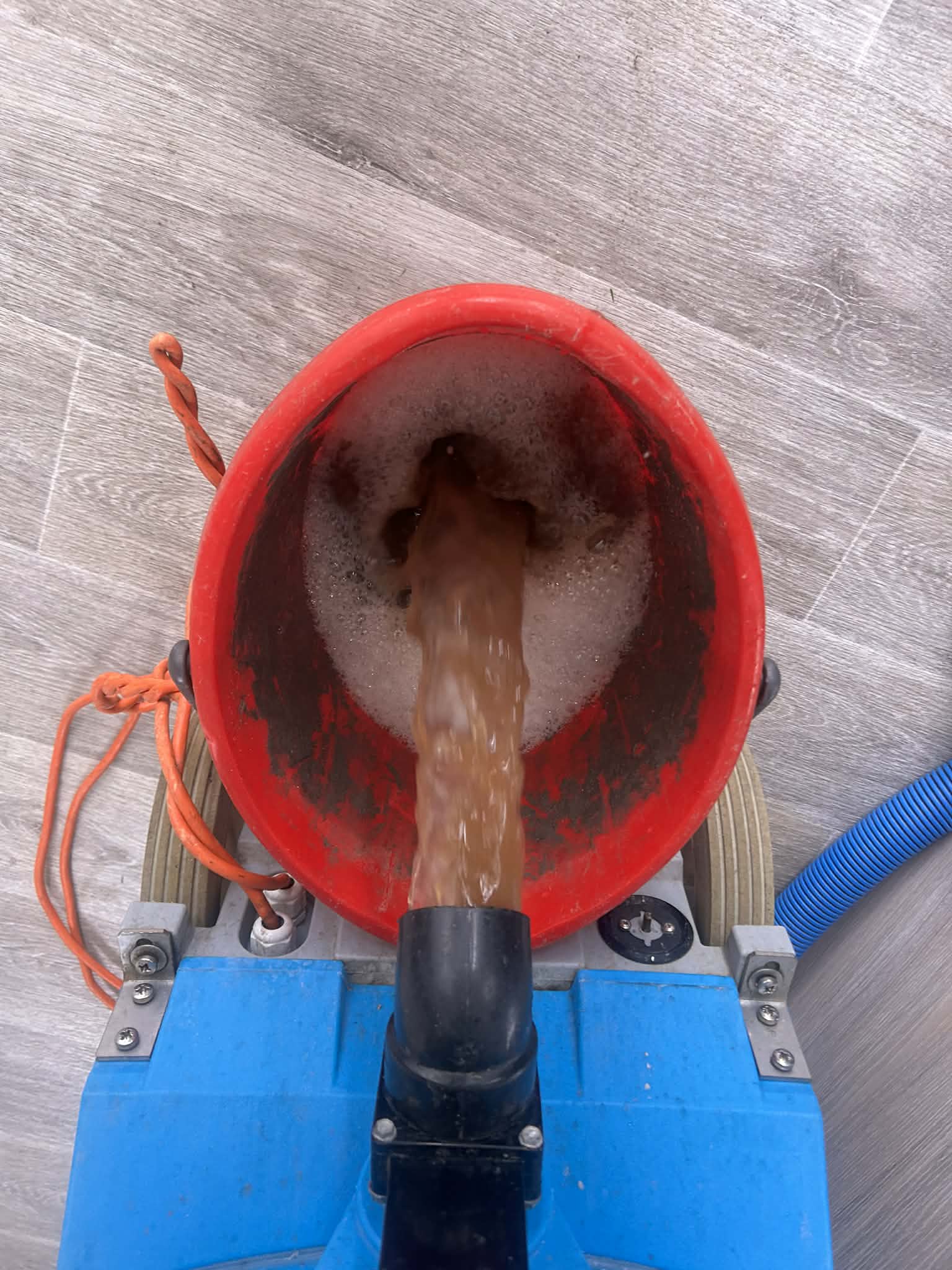 Dirty water extracted from carpet — proof of deep clean