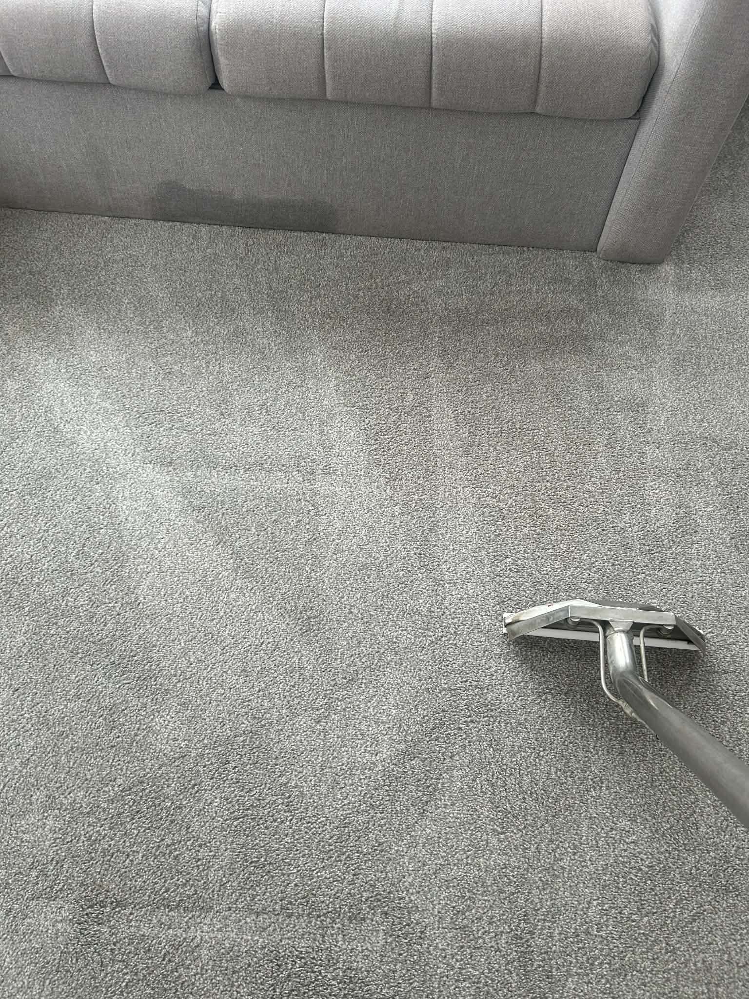 Lounge carpet fully cleaned and restored — Nottingham