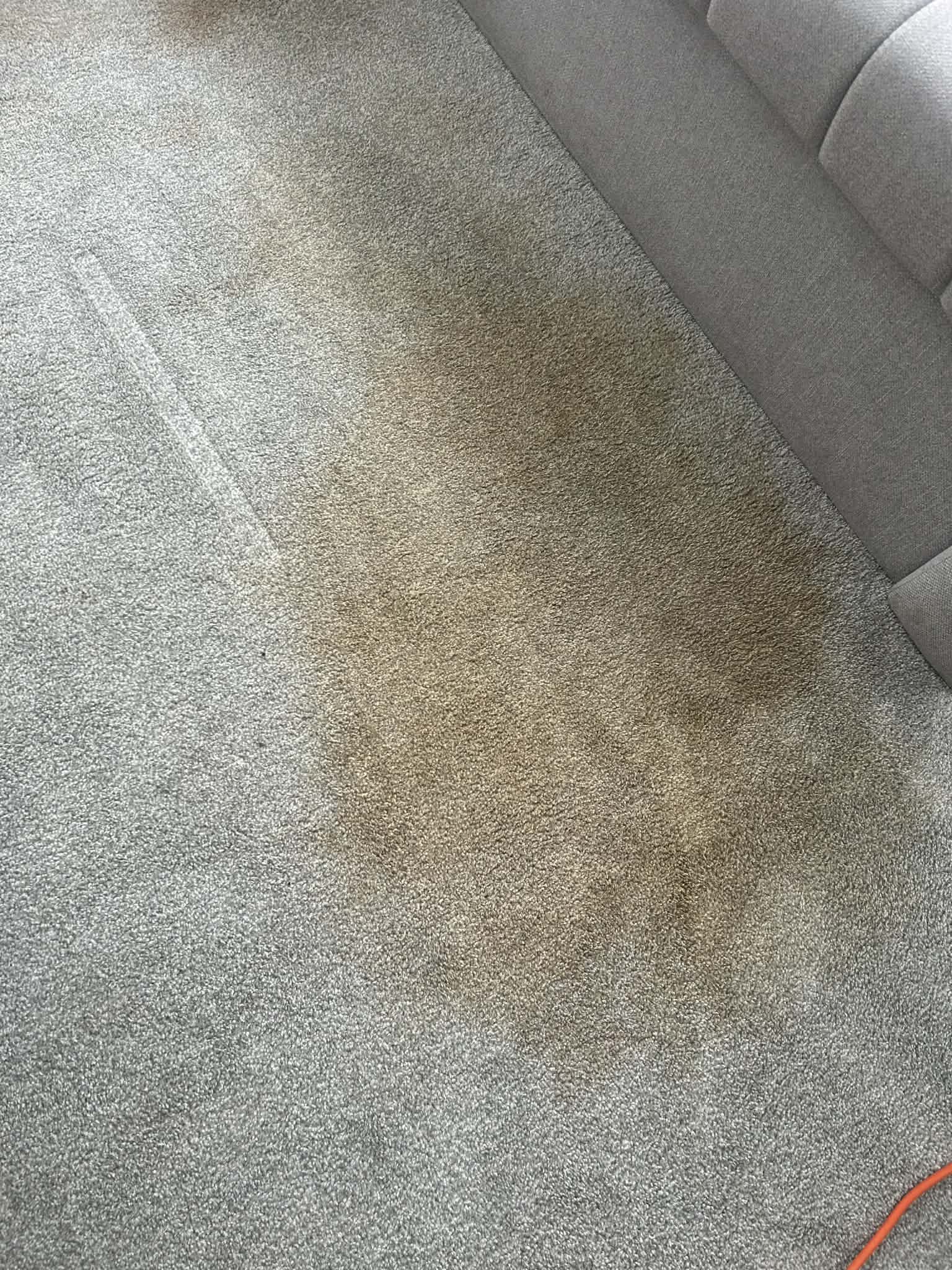 Grey lounge carpet before professional cleaning — heavy soiling and staining visible